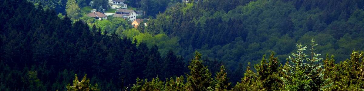 Un village niché dans une vallée, entouré d’une forêt dense.
