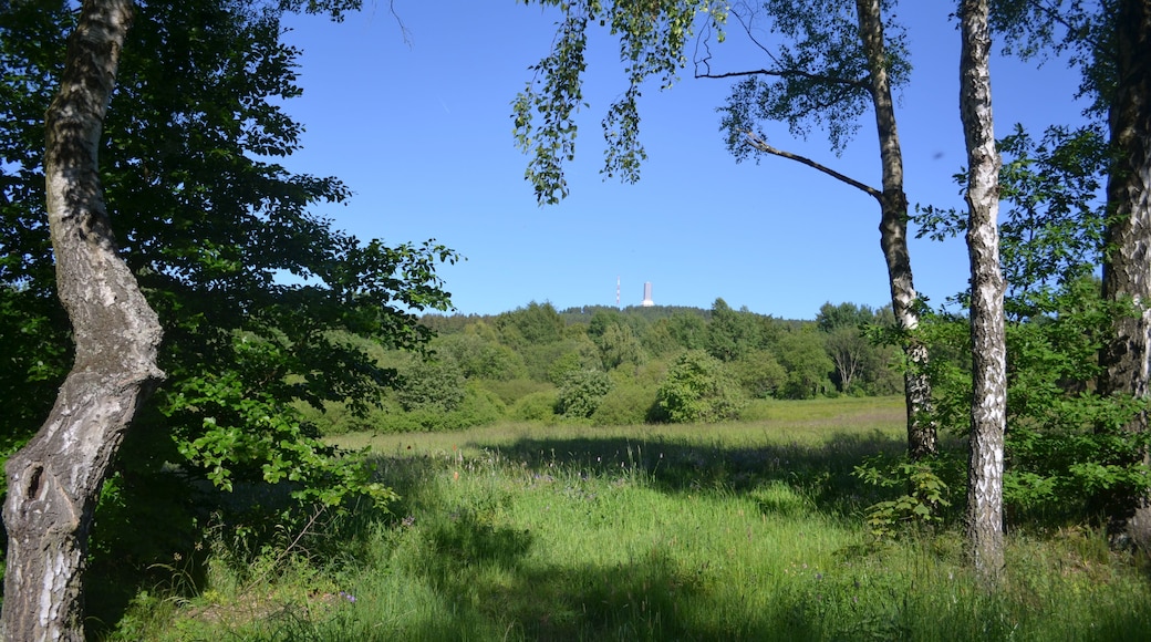 Reifenberger Wiesen und Feldberg