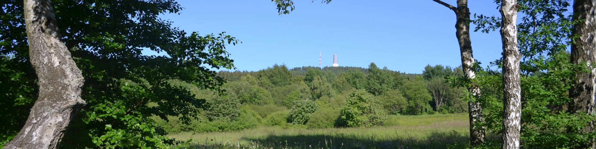 Reifenberger Wiesen und Feldberg