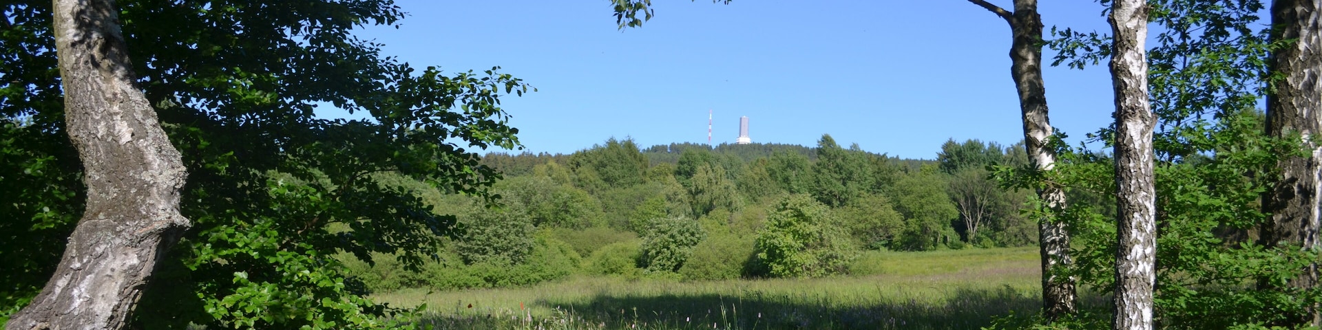 Reifenberger Wiesen und Feldberg