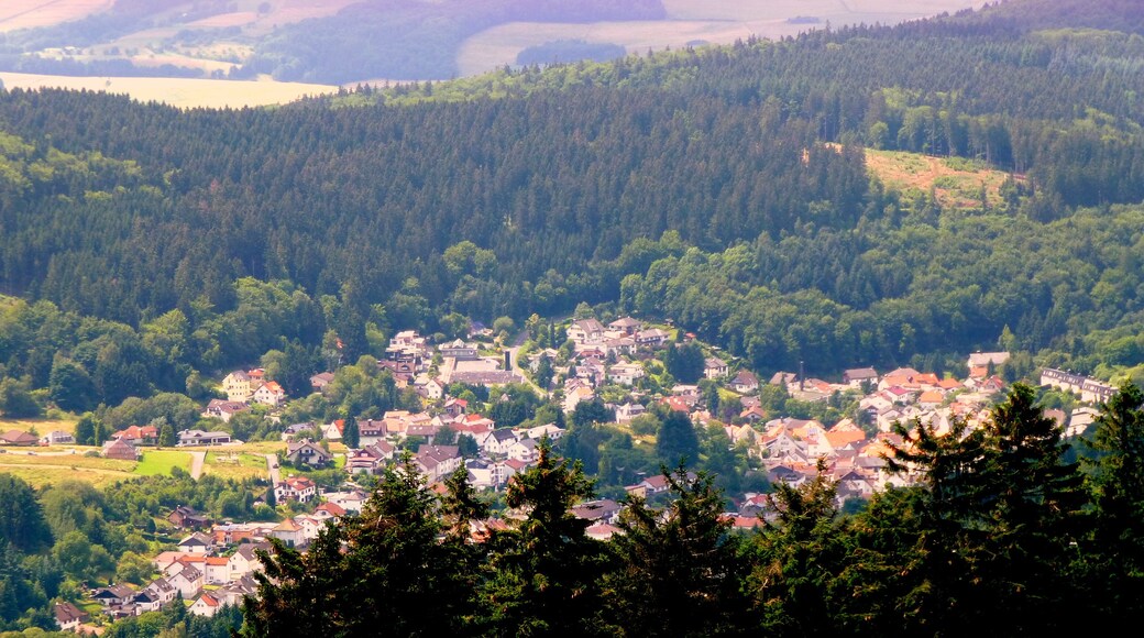 Blick vom Feldberg i. Ts. auf Niederreifenberg