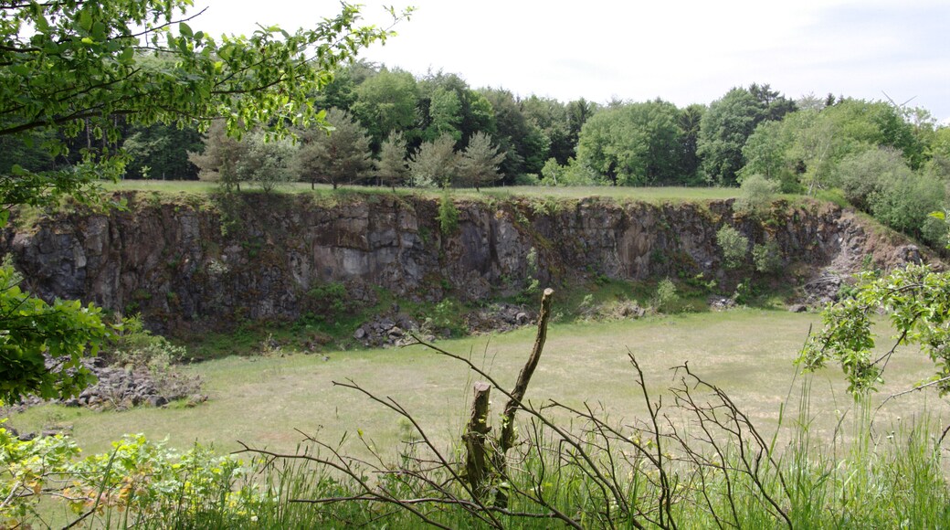 This is a picture of the protected area listed at WDPA under the ID