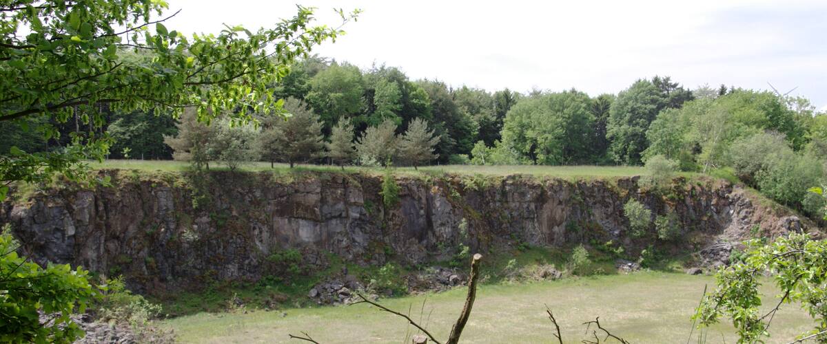 A steep cliff with a grassy field in the foreground and a forest in the background.