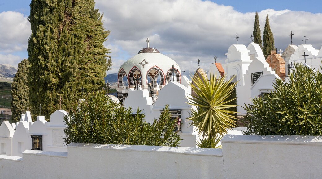 كاسابرميجا