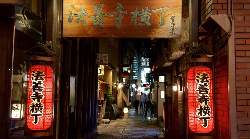 Hozenji-Yokocho Alley showing street scenes