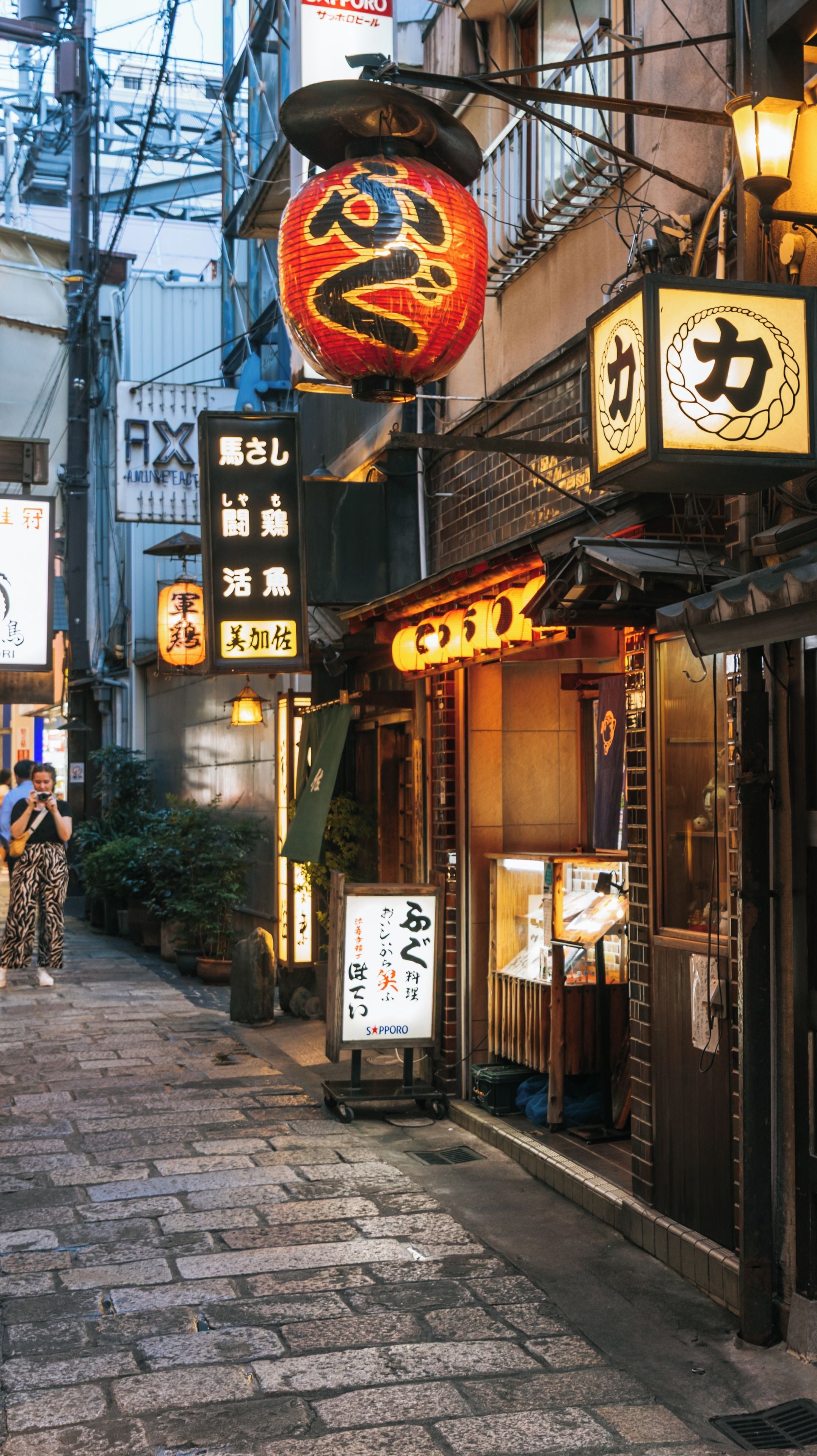 Hozenji-Yokocho Alley Tours - Book Now | Expedia