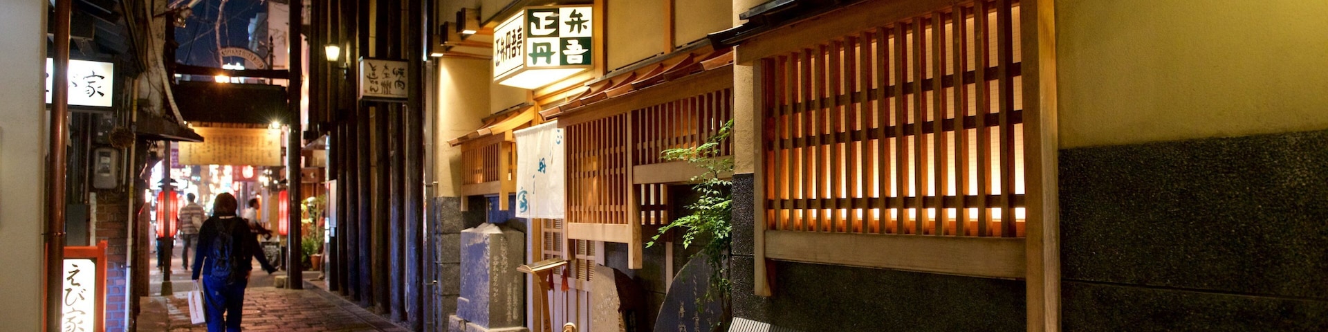 Hozenji-Yokocho mostrando cenas de rua