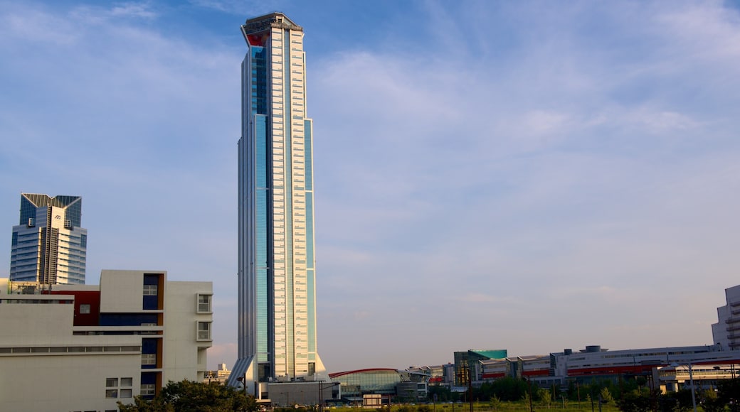 Osaka Prefectural Government Sakishima Building which includes a city