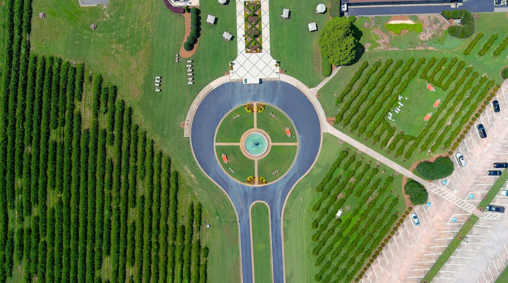 Bodega Château Elan