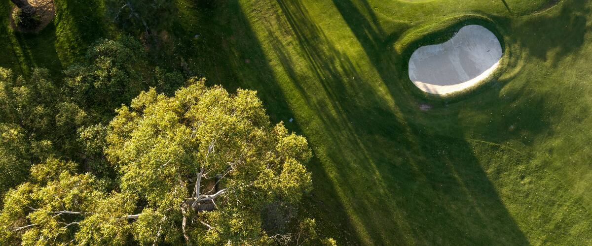 an aerial view of a green course with trees around it