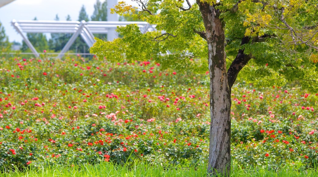 Expo Commemoration Park
