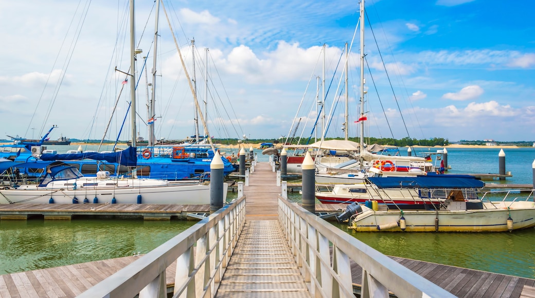 Yachts and boats in Danga Bay marina of Johor, Malaysia