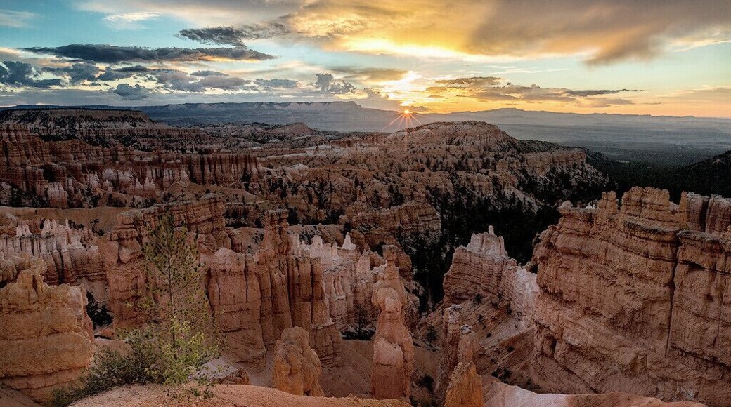 Mysterious Clay Forest in Yuanmou.
#神秘的五彩土林
https://twitter.com/Beautifulgx