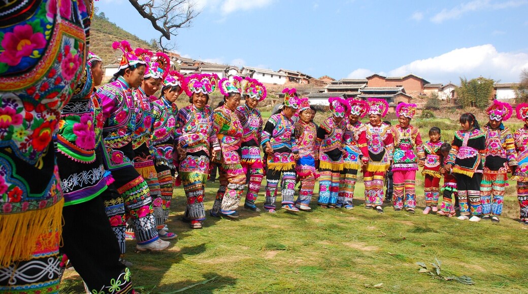 The oldest village "T" stage in the world——the Zhiju Costume Competition Festival in the Chuxiong Yi Autonomous Prefecture of #Yunnan,China.
https://twitter.com/Beautifulgx