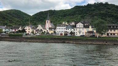Villages along the Rhine River. May 2018