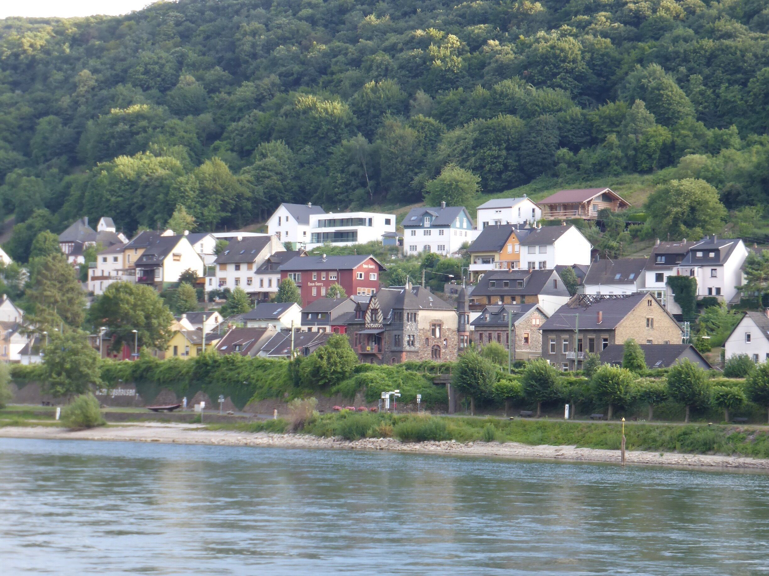 Typical village along the southern Rhine.

We took the KD boat downstream from Koblenz; highly recommended.