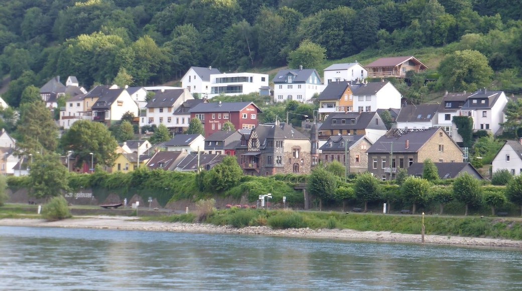 Typical village along the southern Rhine.
We took the KD boat downstream from Koblenz; highly recommended.