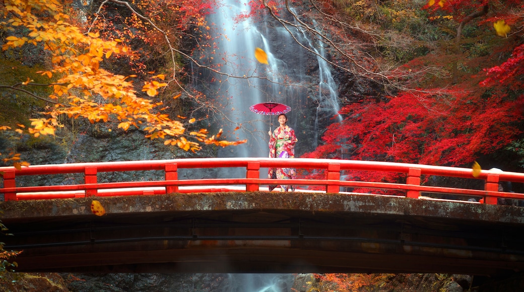 the red bridge in minoh waterfall