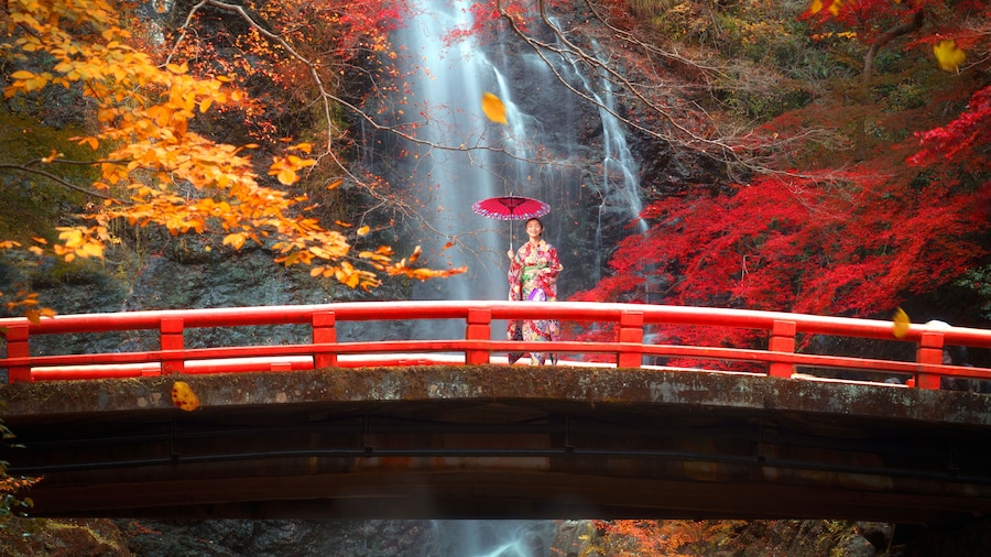 the red bridge in minoh waterfall