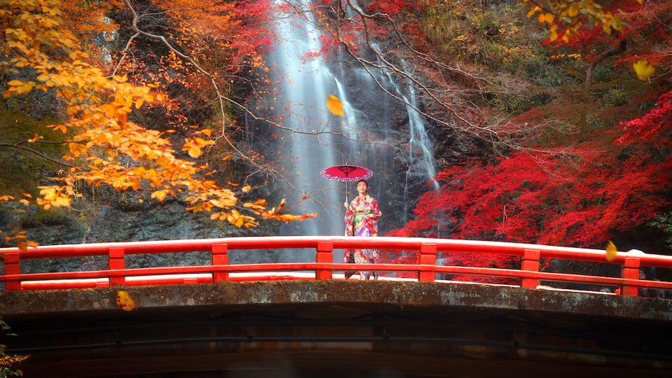 A bridge with red railings, a waterfall, and autumn foliage.