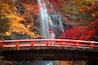 Cascada de Minoh