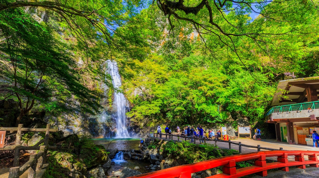 滝の風景 箕面