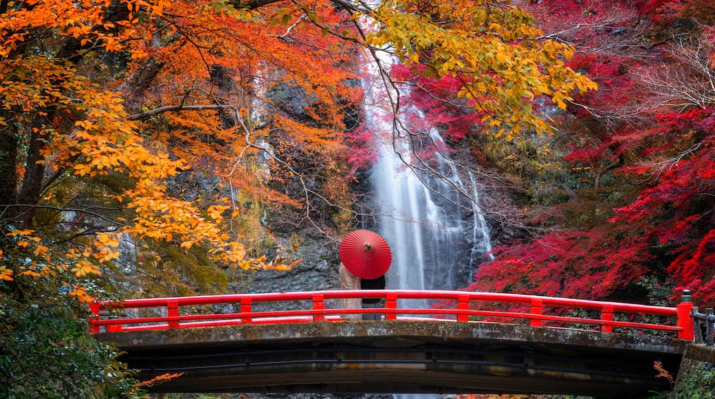 箕面市