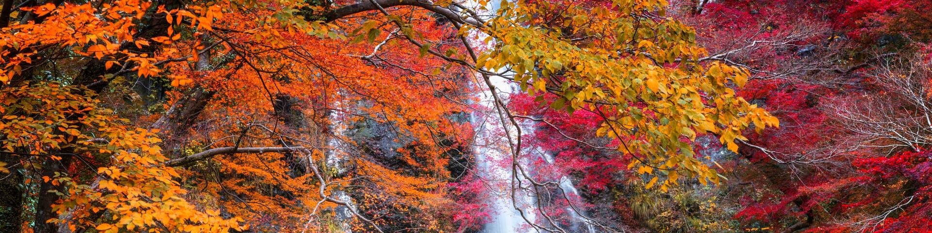 the red bridge in minoh waterfall