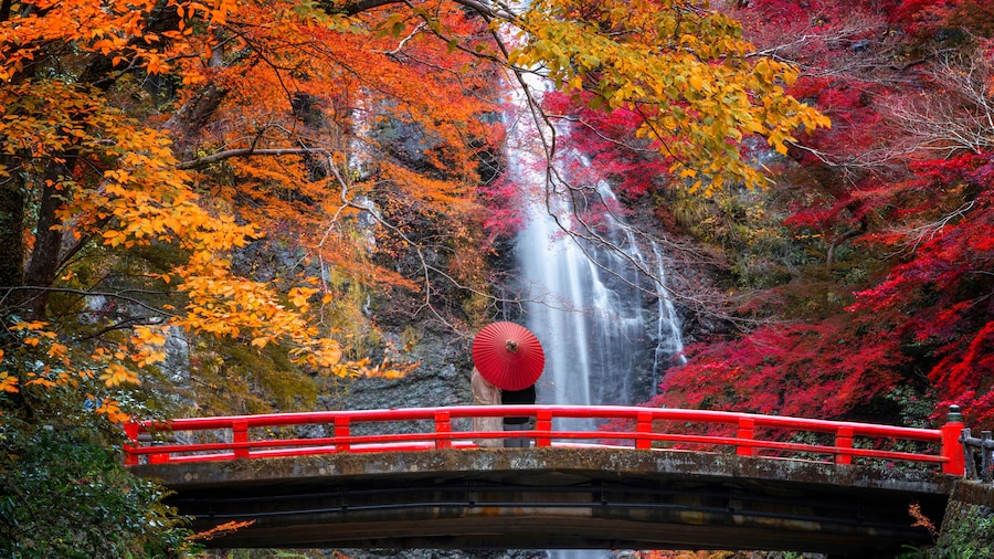 the red bridge in minoh waterfall