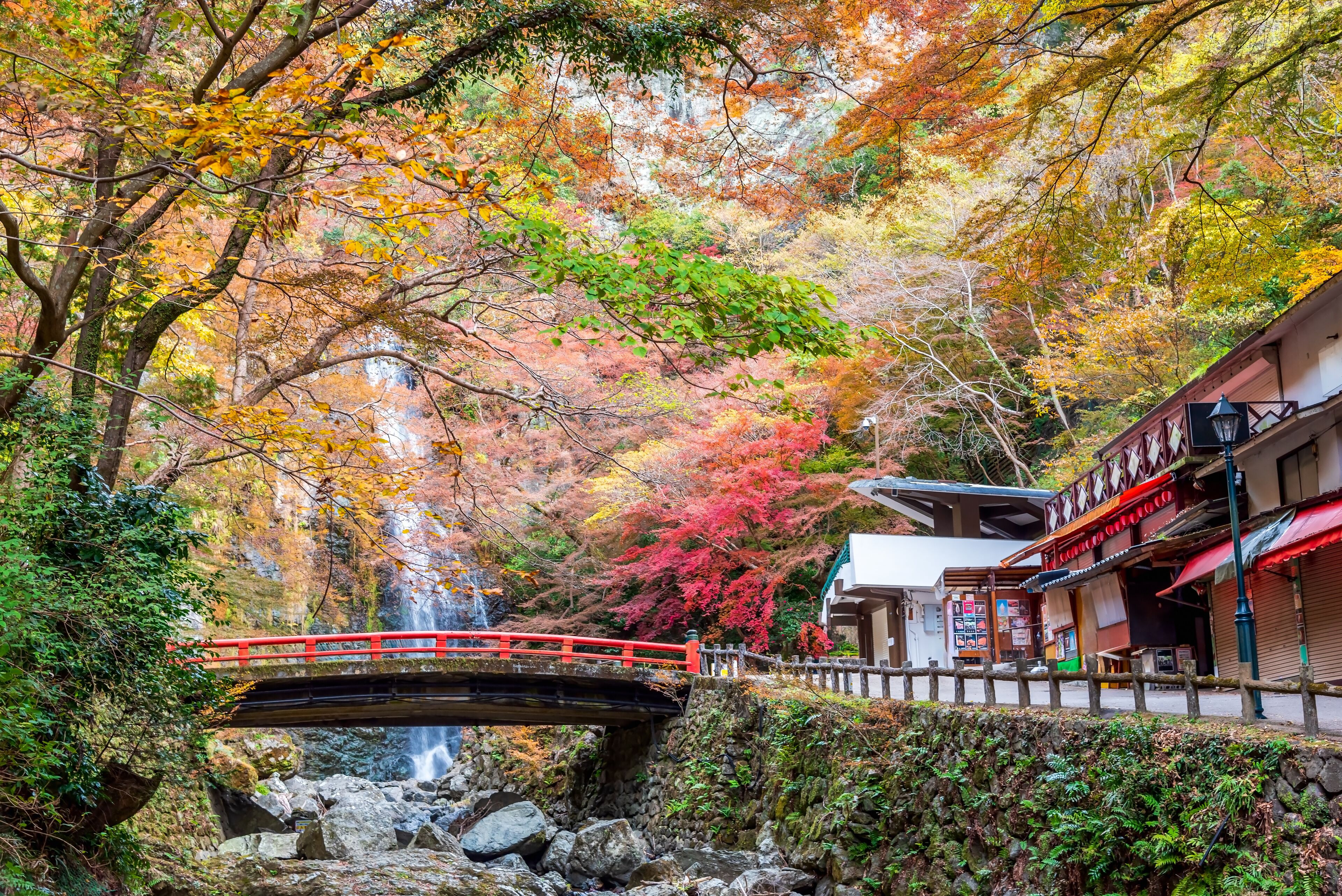 Minoh waterfall in autumn colorful at Minoh natural park Osaka Japan.