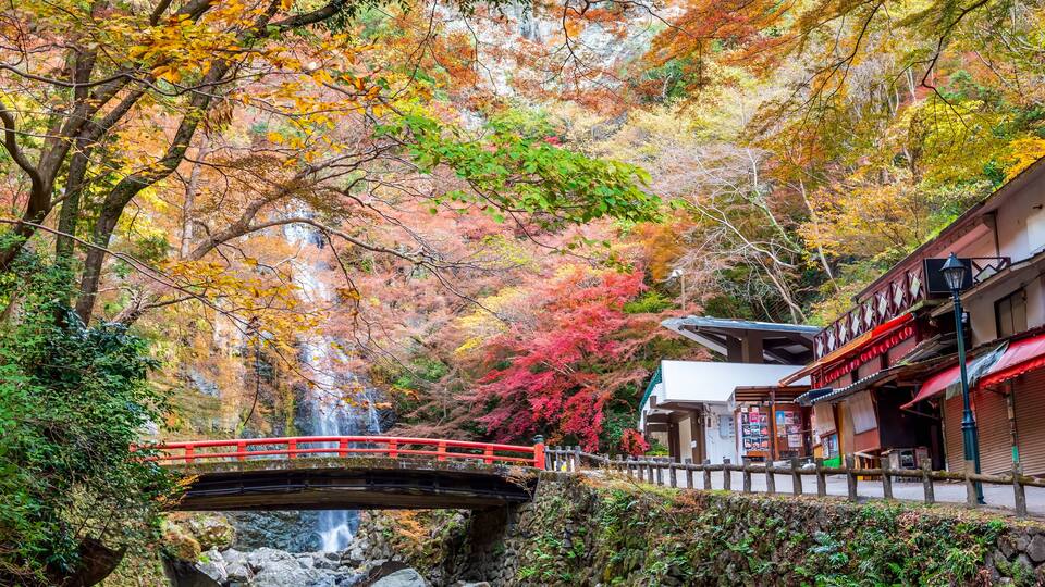 A bridge over a stream, autumn foliage, and traditional architecture.