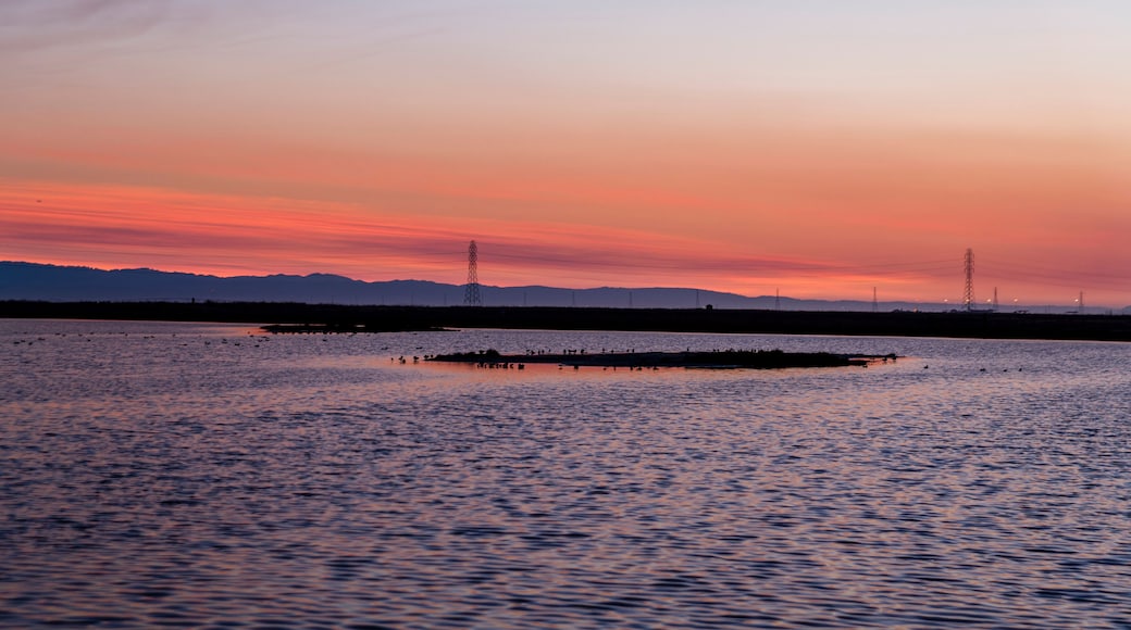 Sunset at Eden Landing Ecological Reserve