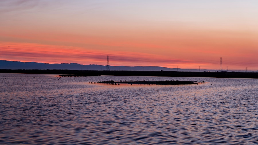 Sunset at Eden Landing Ecological Reserve