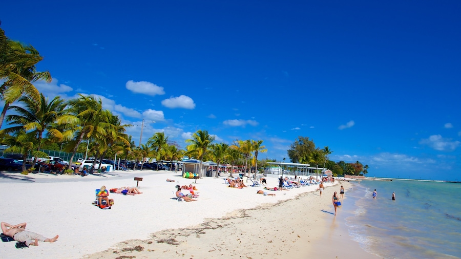 Higgs Beach showing tropical scenes and a sandy beach as well as a large group of people