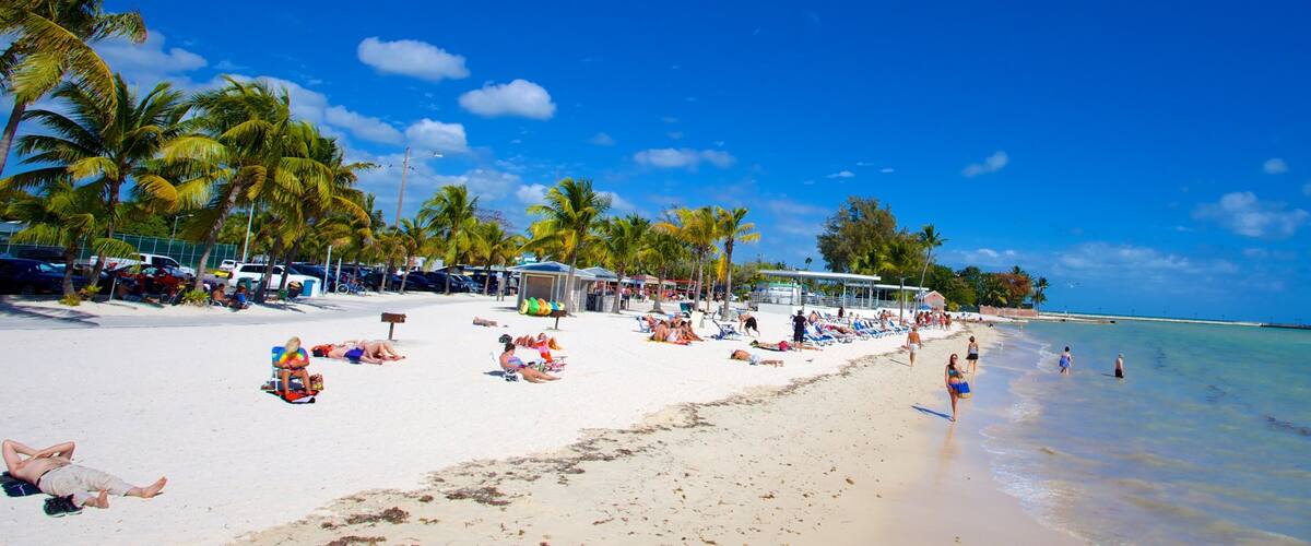 A beach with palm trees, people sunbathing, and a clear blue sky.