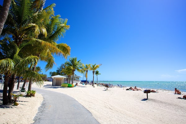 Playa de Higgs ofreciendo una playa de arena, un bar en la playa y escenas tropicales