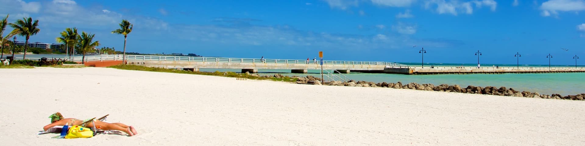 Higgs Beach featuring a sandy beach as well as an individual femail