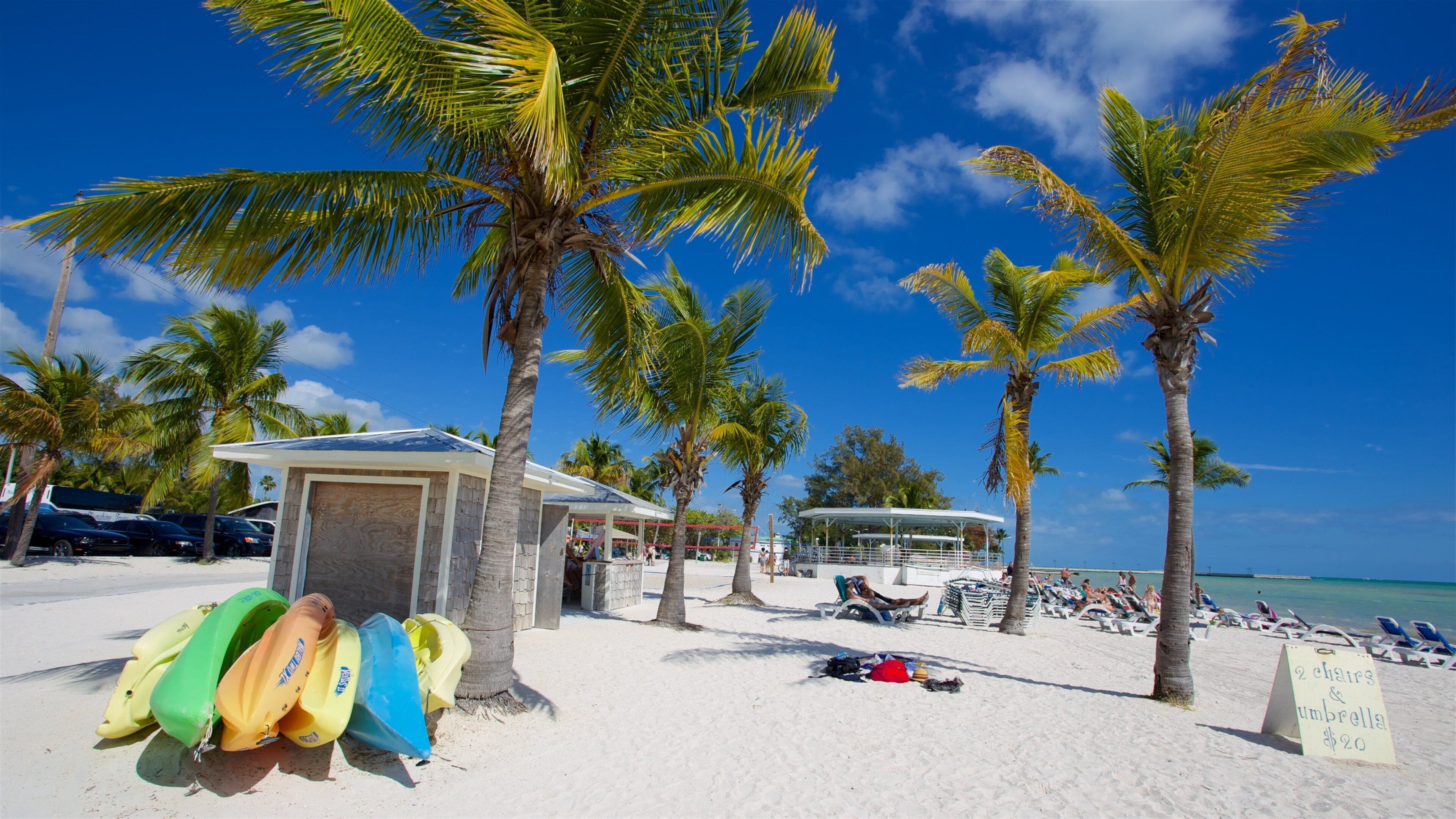 Higgs Beach featuring kayaking or canoeing, a sandy beach and a bay or harbour
