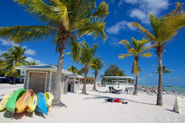 ハイッグス ビーチ 表示 カヤックあるいはカヌー, 湾岸あるいはハーバー と ビーチ
