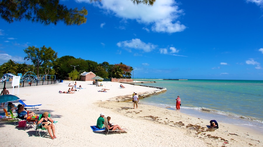 Higgs Beach showing a beach as well as a large group of people
