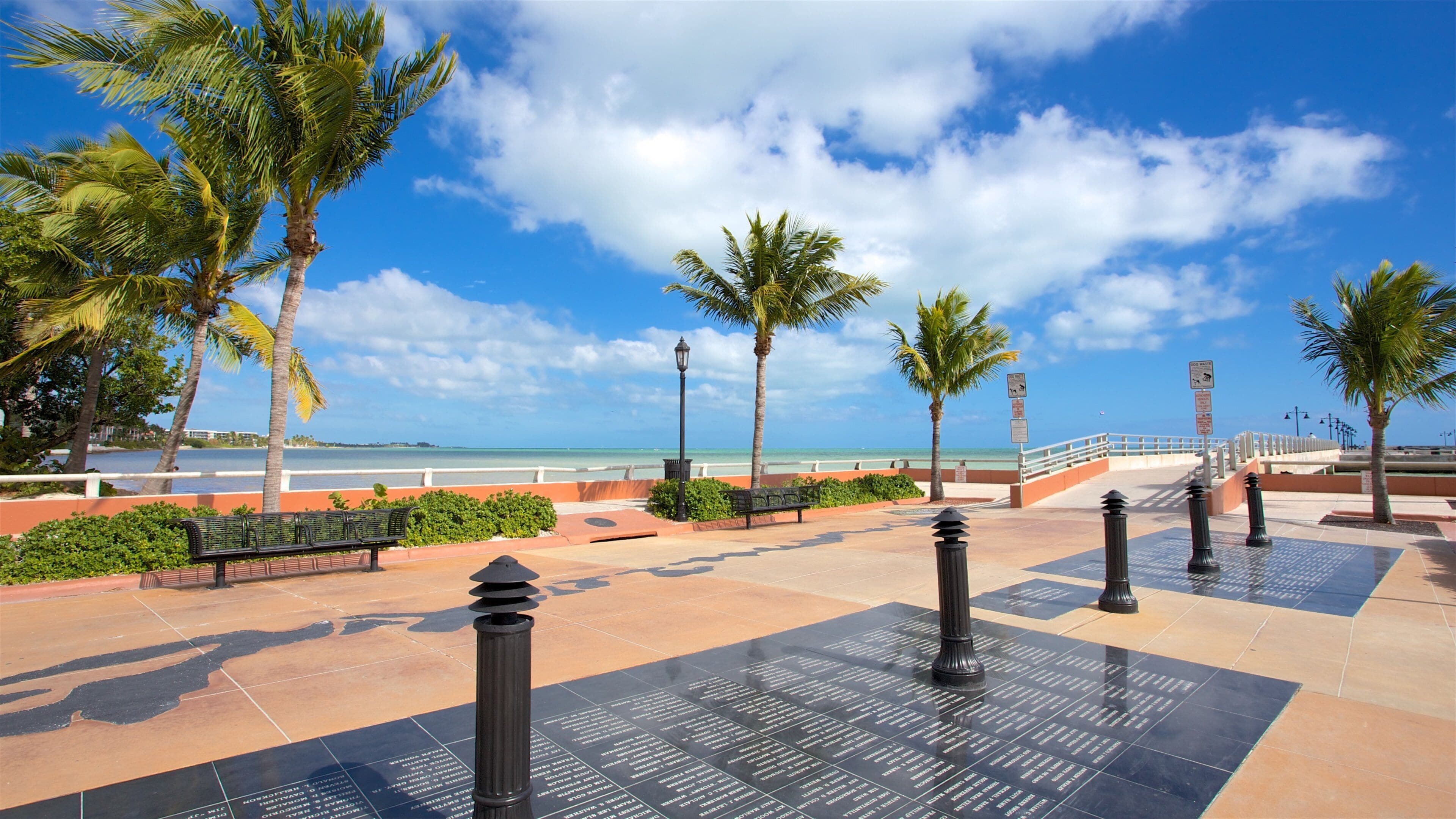 Higgs Beach fasiliteter samt tropisk landskap, torg eller plass og kyst