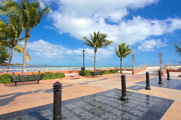 Higgs Beach qui includes vues littorales, square ou place et scĂšnes tropicales