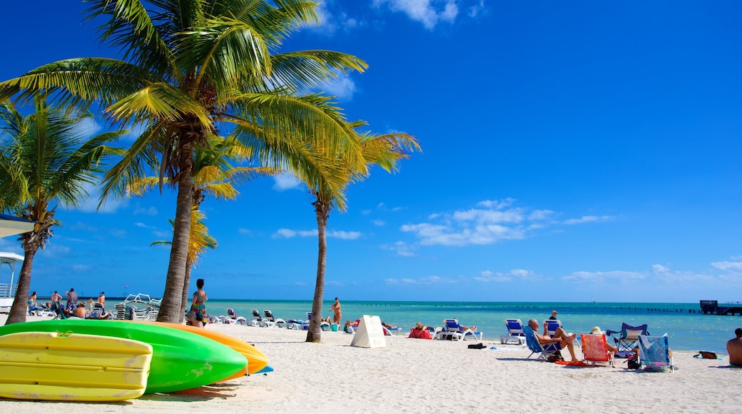 Higgs Beach featuring trooppiset näkymät ja hiekkaranta sekä suuri ryhmä ihmisiä