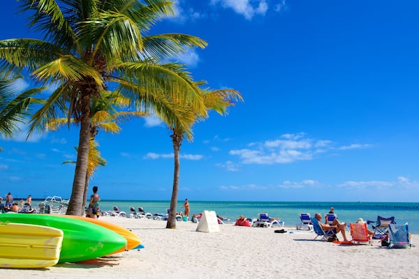 Higgs Beach showing a sandy beach and tropical scenes as well as a large group of people