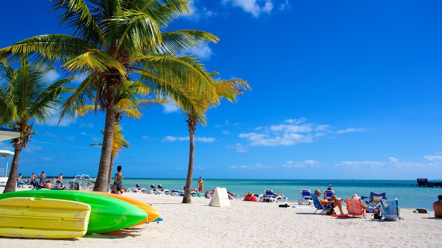 Higgs Beach showing tropical scenes and a beach as well as a large group of people