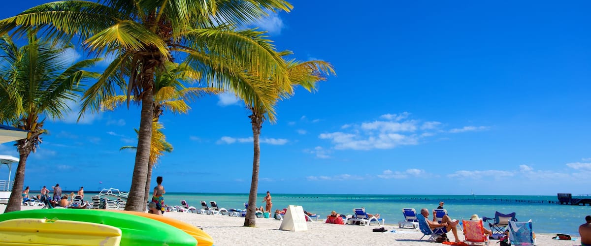 Higgs Beach which includes tropical scenes and a beach as well as a large group of people