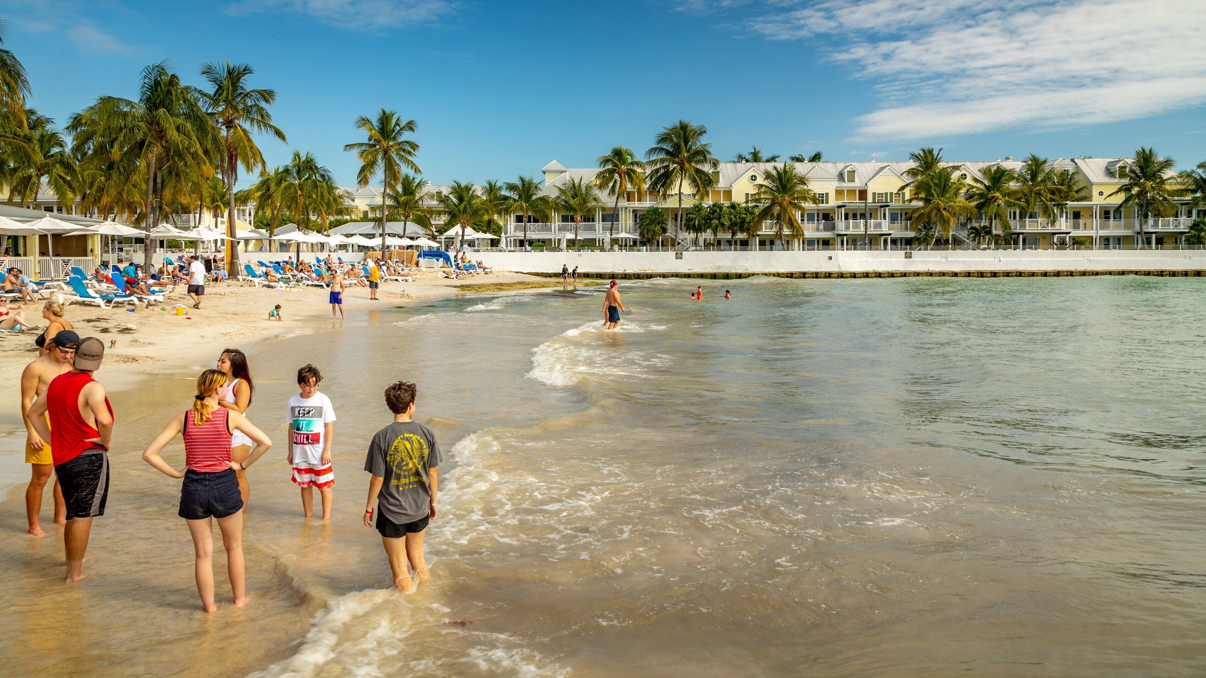 South Beach featuring tropical scenes, a sandy beach and general coastal views
