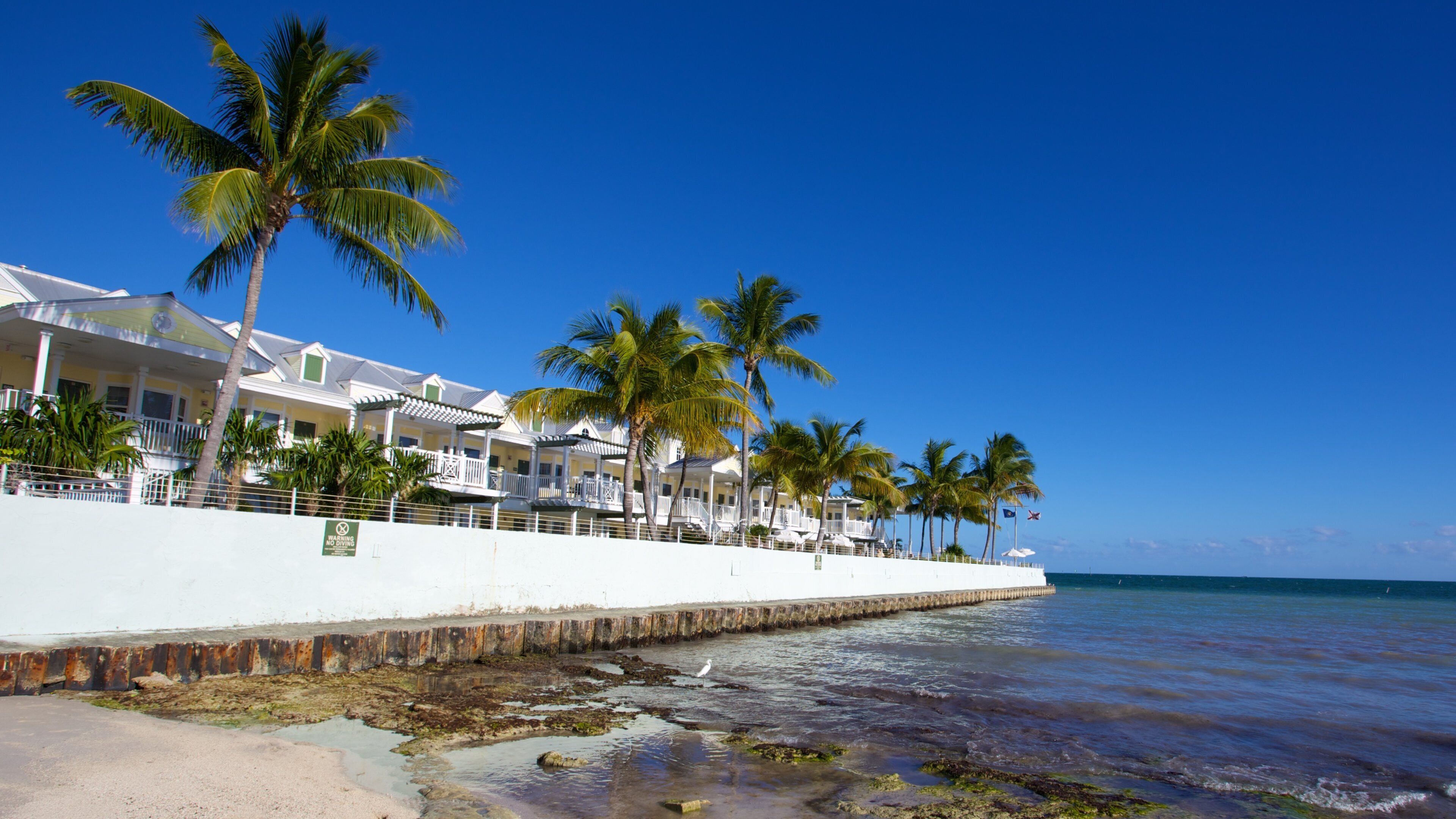 South Beach showing general coastal views and a luxury hotel or resort