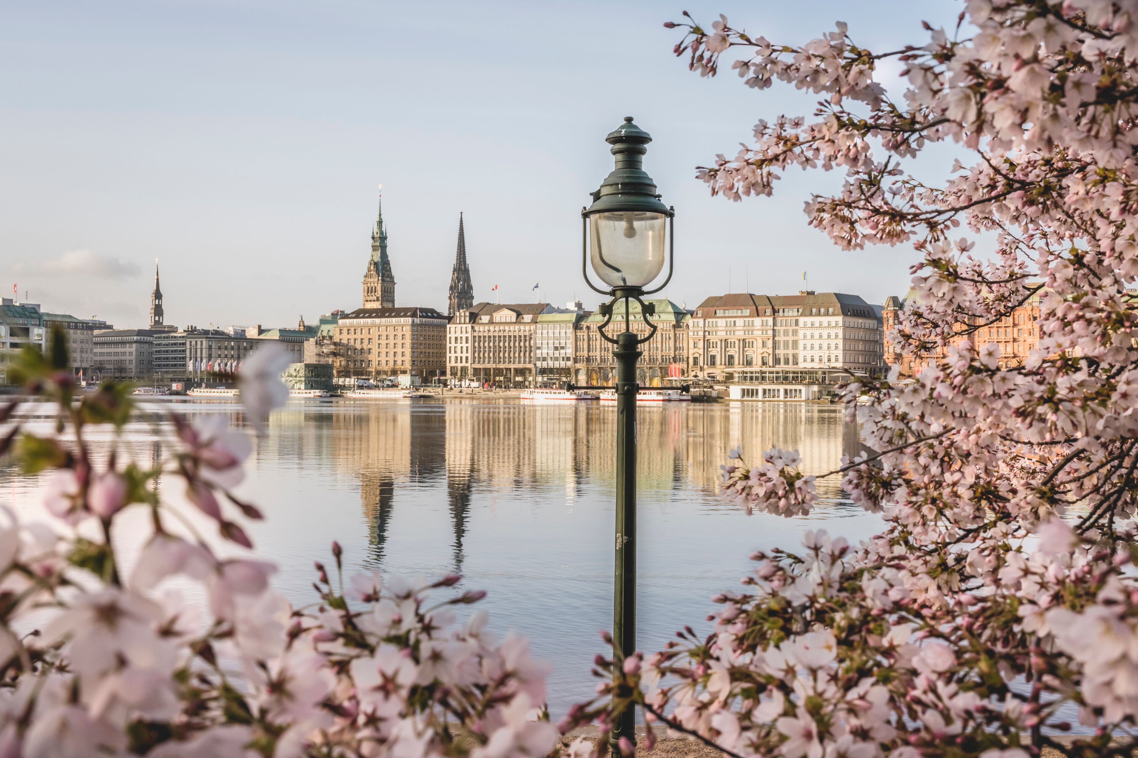 Germany, Hamburg, Inner Alster Lake in spring with street light and cherry blossom branches in foreground