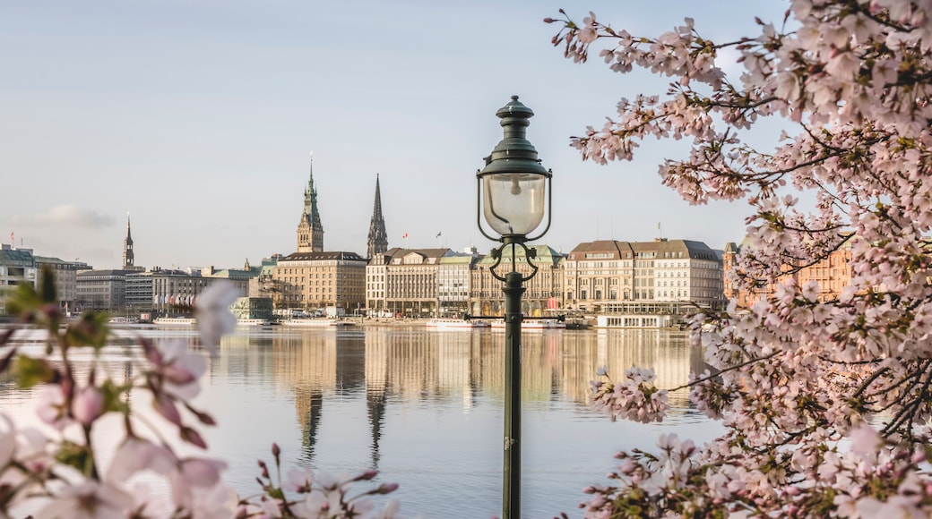 Germany, Hamburg, Inner Alster Lake in spring with street light and cherry blossom branches in foreground
